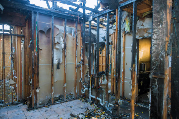 Professional Odor Removal technician working in Anacoco, LA